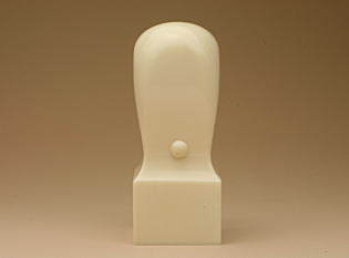 �ۉ�21mm�p�ʐ^